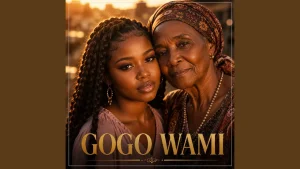 VendaPrince MT - Ubuya Nini