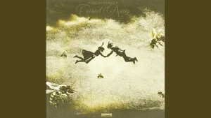 Rybeena - Carried Away (Oke Agba) (ft. Niniola)